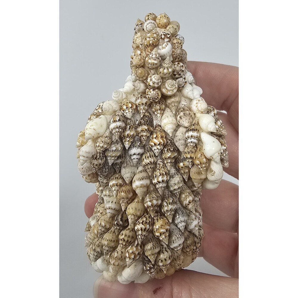 Sea Shell Encrusted Elephant Figurine Shell Covered Hand Made Statue Philippines - Picture 5 of 7